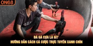 đá gà cựa