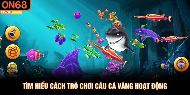 Tìm hiểu cách trò chơi câu cá vàng hoạt động